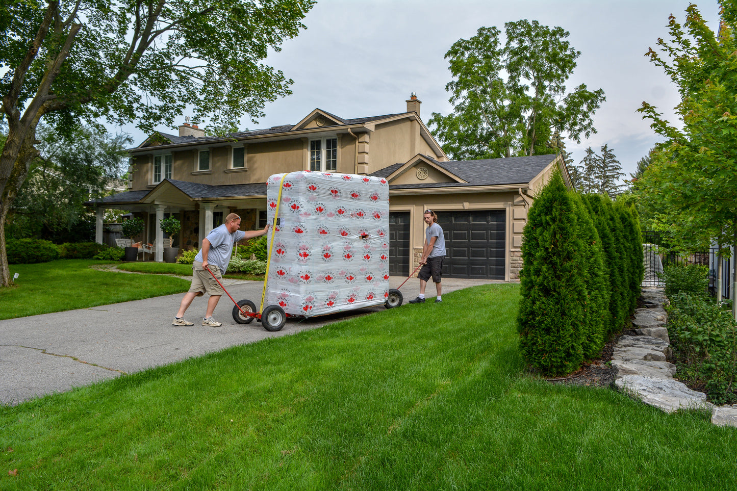 Delivery - Back Garden Upgrade Bundle includes Chemical kit, Steps, Top Mount Lifter