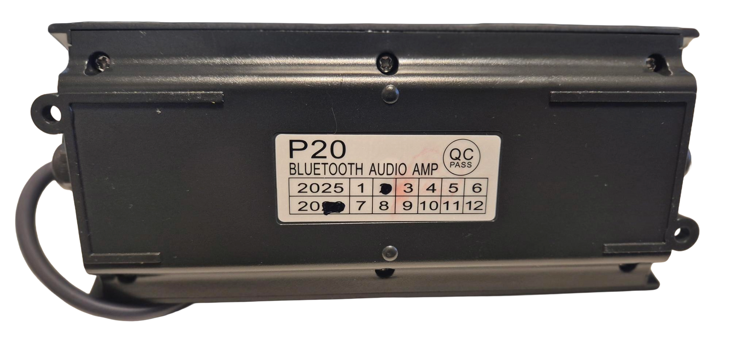 
Black Bluetooth audio amplifier with model number P20 on a white background
