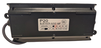 Black Bluetooth audio amplifier with model number P20 on a white background