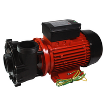 2" x 2" 3HP 2-speed Pump WP300-II — Canadian Spa Company UK