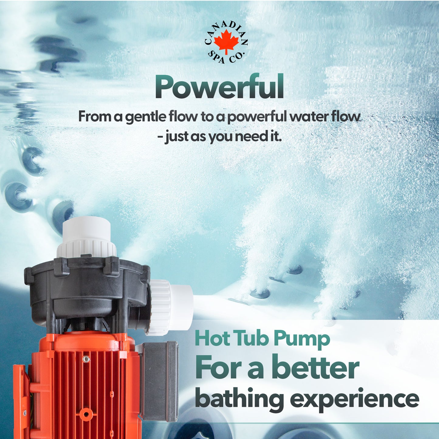 Big Red LX 5HP 2-Speed Pump WP500-II