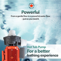 Big Red LX 5HP 2-Speed Pump WP500-II