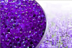 Spa Fragrance Aromatherapy Bead Cartridge - Relaxation Lavender