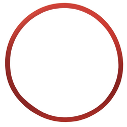 V2 PCU FILTER LID O-RING