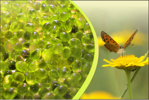 Spa Fragrance Aromatherapy Bead Cartridge - Chamomile Vigour